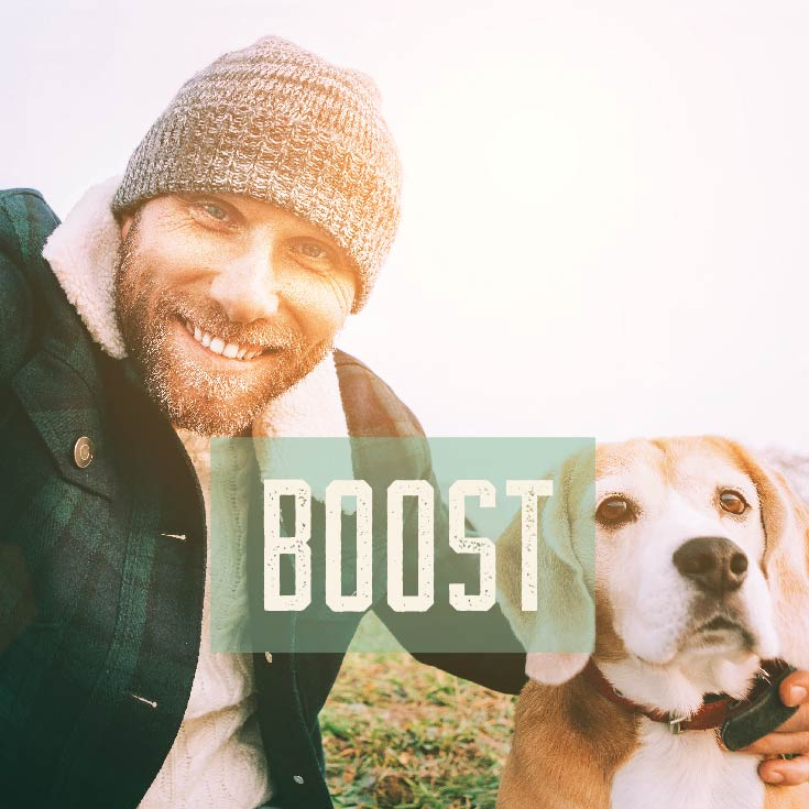 BOOST