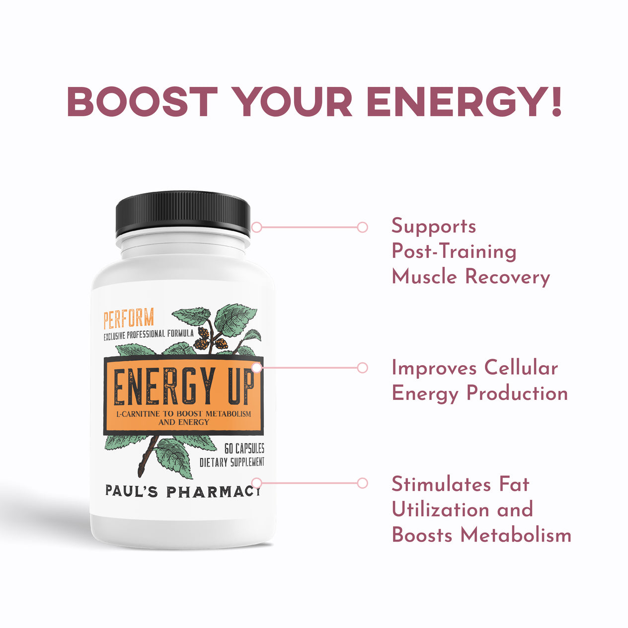 FIT & FABULOUS BUNDLE