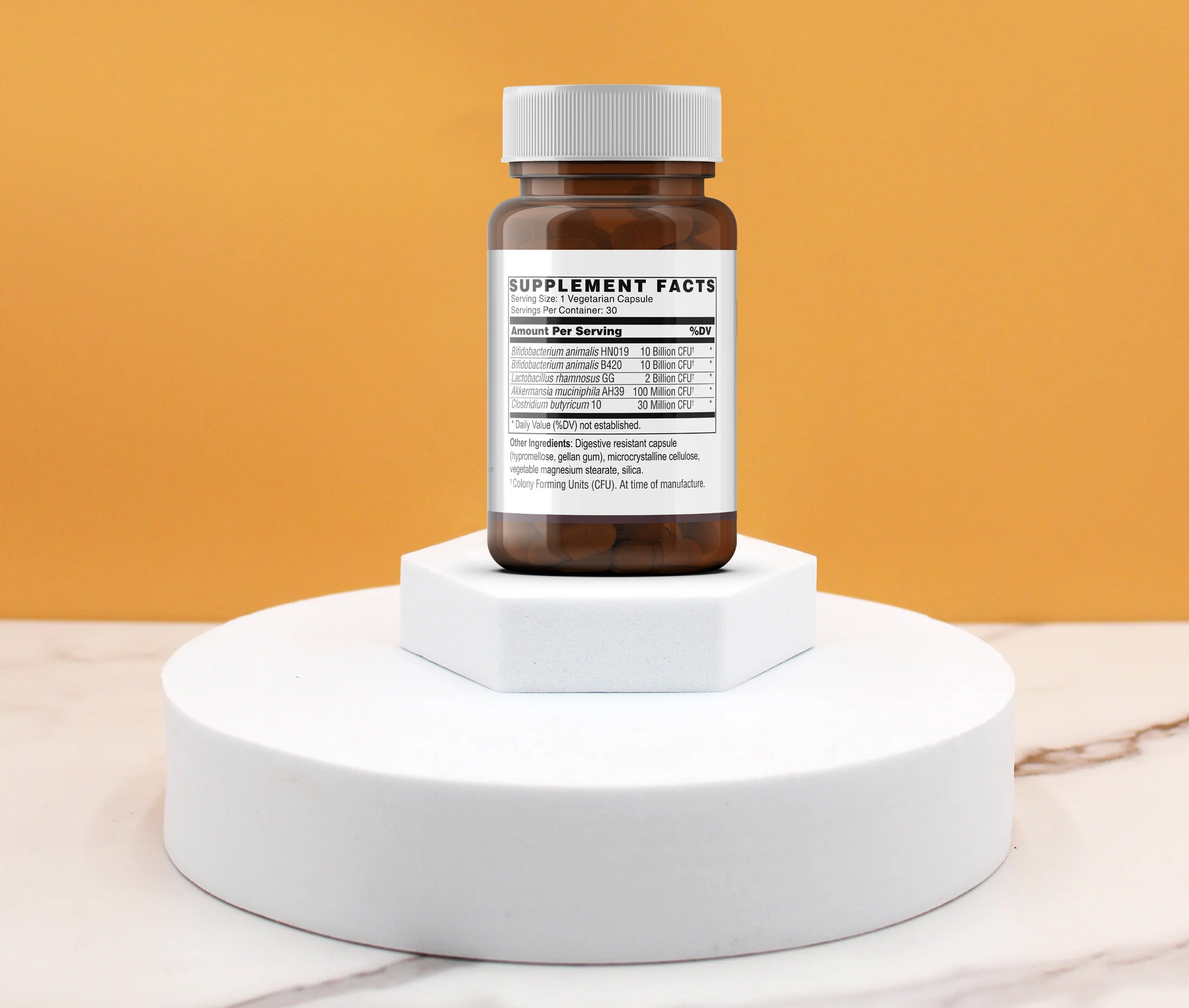 Metabolic Probiotic with Akkermansia – Paul's Pharmacy