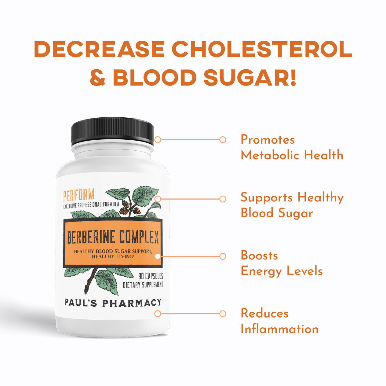 WEIGHT LOSS WARRIOR BUNDLE