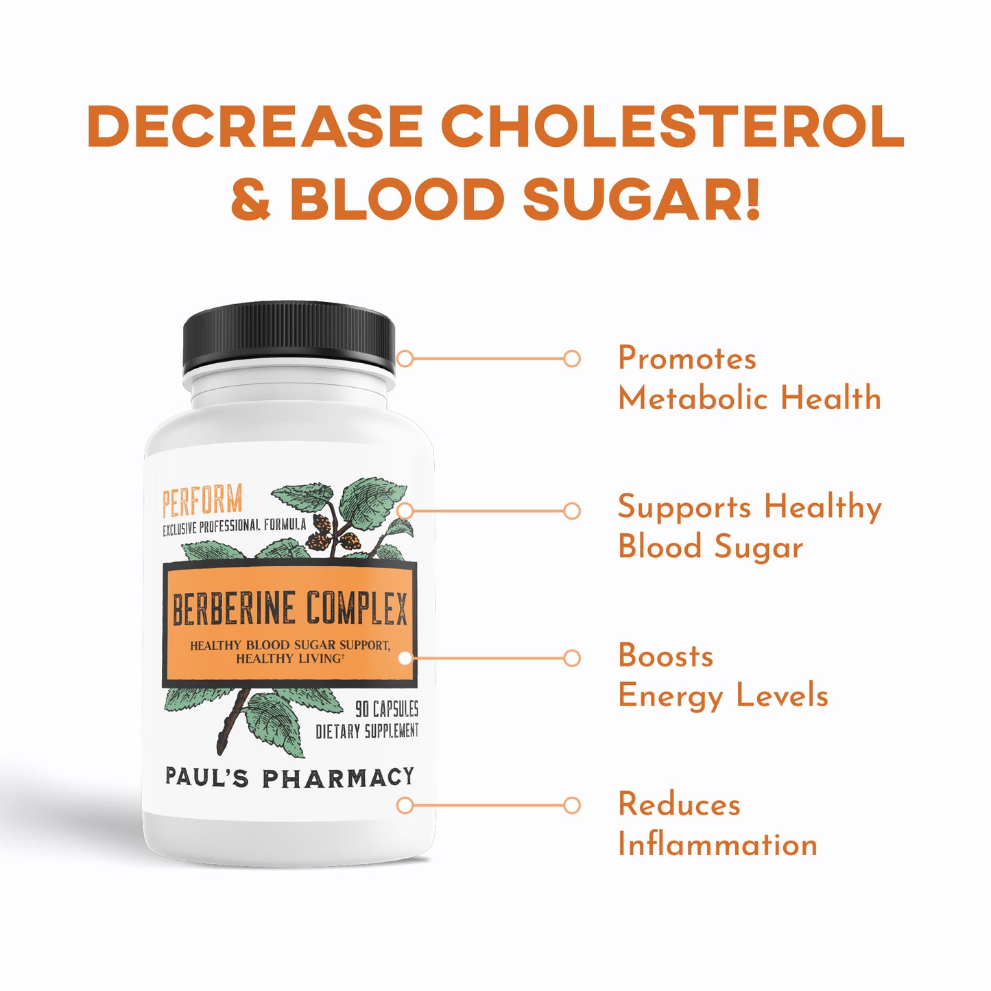 WEIGHT LOSS WARRIOR BUNDLE