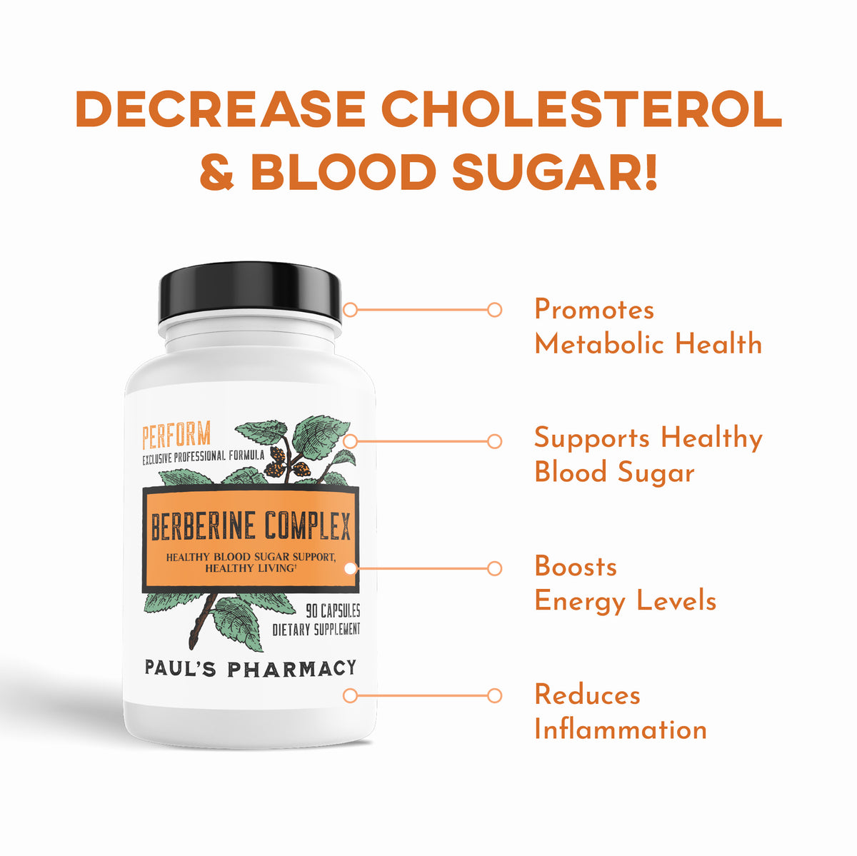 WEIGHT LOSS WARRIOR BUNDLE