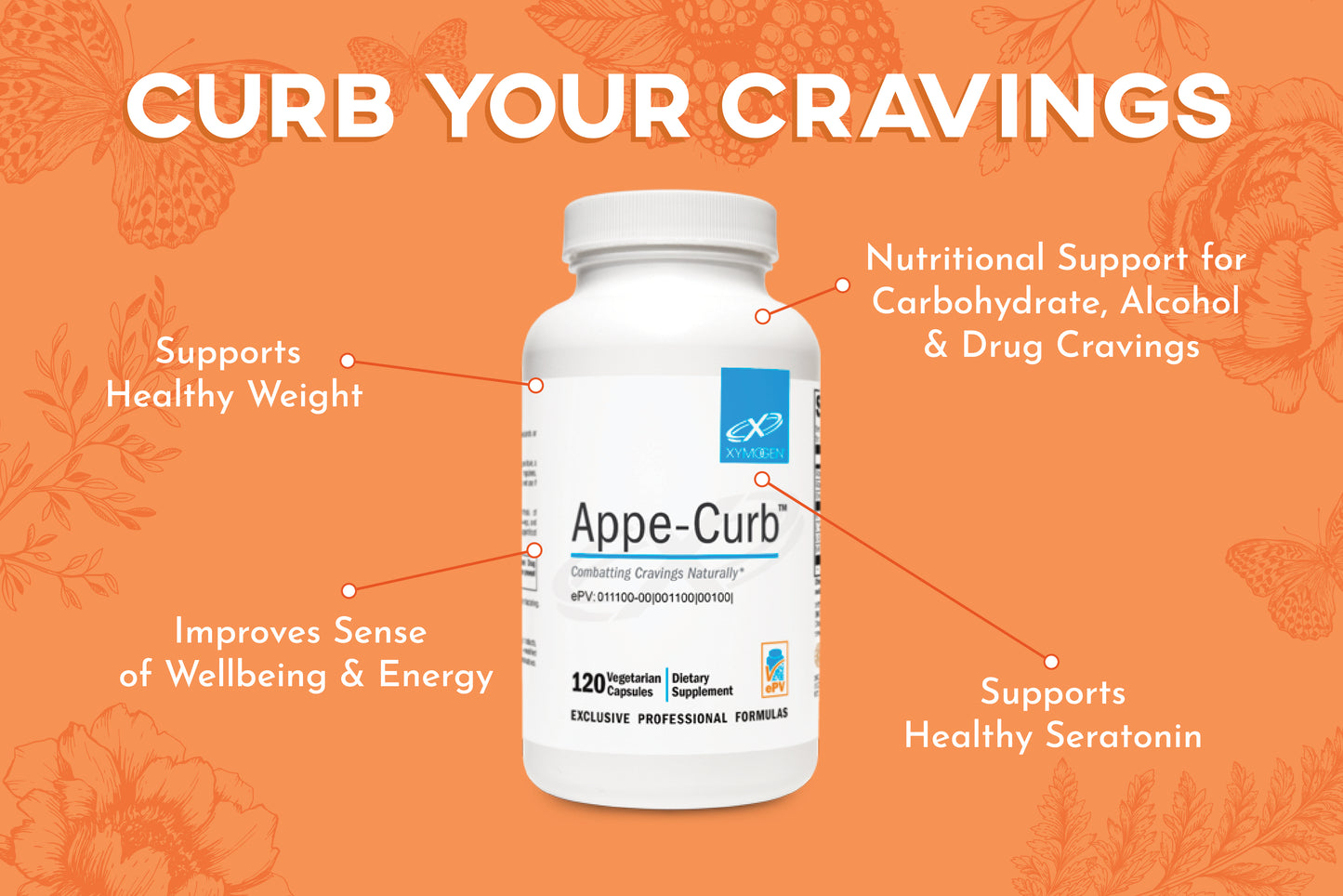 WEIGHT LOSS WARRIOR BUNDLE