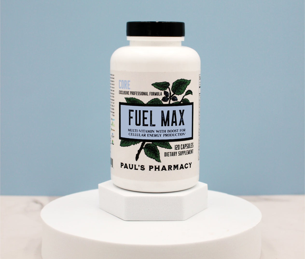 FUEL MAX